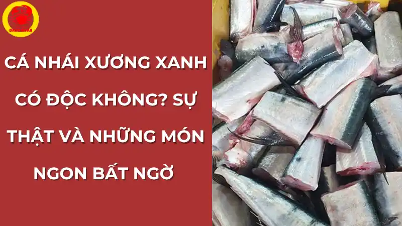 Giải đáp thắc mắc cá nhái xương xanh có độc không và sự thật về đặc điểm độc đáo này