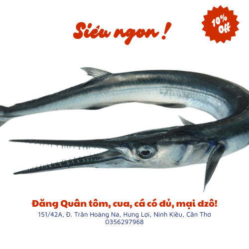 Cá nhái tươi ngon tại Vựa Cua Đăng Quân – Đảm bảo chất lượng, giao hàng tận nơi
