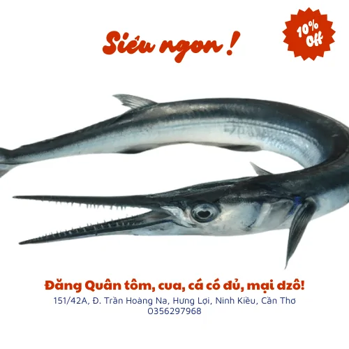 Cá nhái tươi ngon tại Vựa Cua Đăng Quân – Đảm bảo chất lượng, giao hàng tận nơi