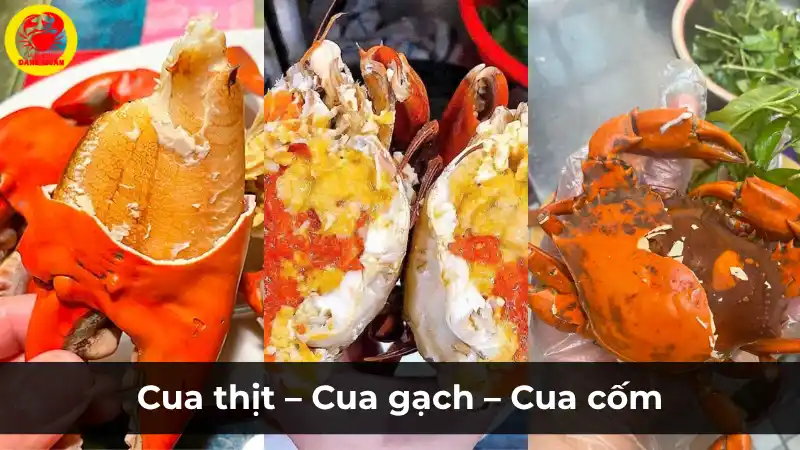 Các loại cua Cà Mau đặc sản tại Vựa Cua Đăng Quân