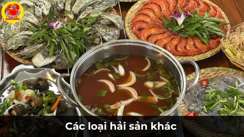 Các loại hải sản tươi sống khác tại Vựa Cua Đăng Quân như tôm, ghẹ, sò, cá ngừ...