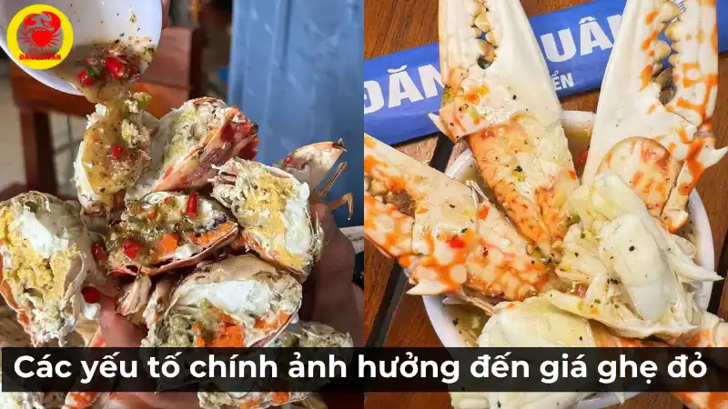 Các yếu tố chính ảnh hưởng đến giá ghẹ đỏ