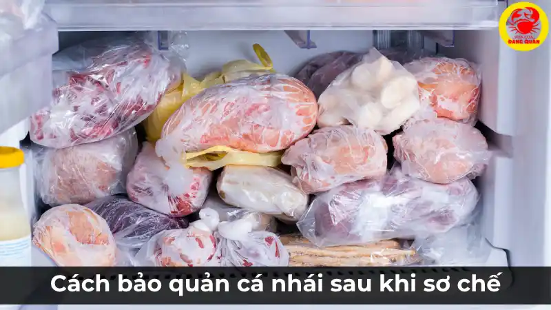 Cách bảo quản cá nhái sau khi sơ chế trong hộp đựng để giữ được độ tươi ngon lâu hơn