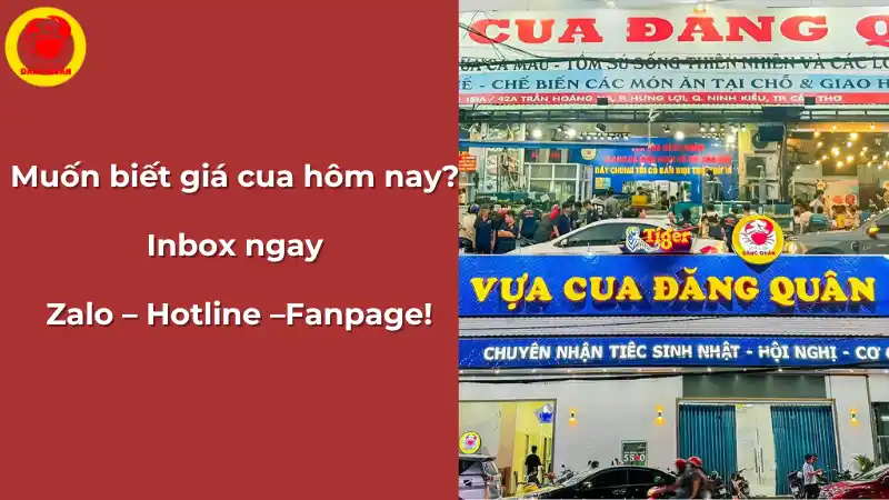 Cách cập nhật giá cua mới nhất tại Vựa Cua Đăng Quân