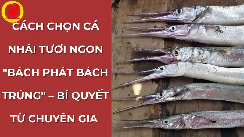 Hướng dẫn cách chọn cá nhái tươi ngon "bách phát bách trúng" theo bí quyết từ chuyên gia Vựa Cua Đăng Quân