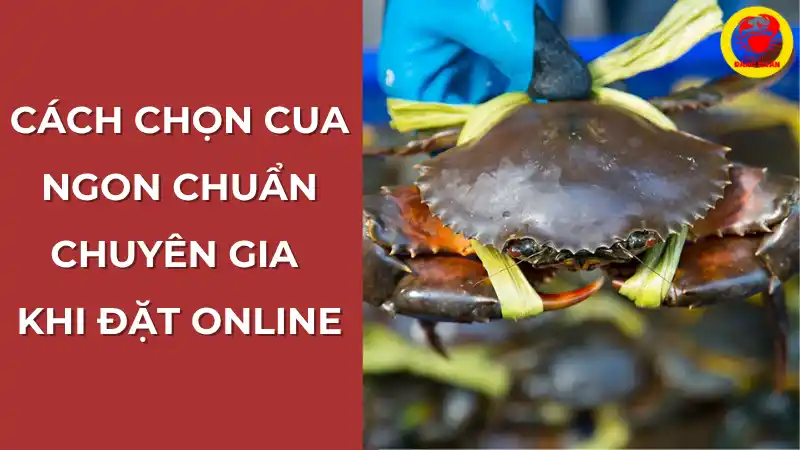 Cách chọn cua Cà Mau ngon khi đặt online tại Vựa Cua Đăng Quân