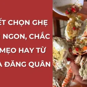 Bí quyết chọn ghẹ đỏ tươi ngon, chắc nịch từ Vựa Cua Đăng Quân