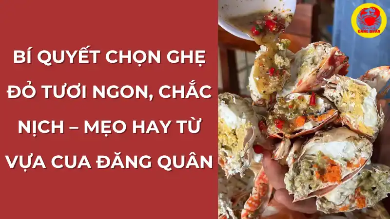 Bí quyết chọn ghẹ đỏ tươi ngon, chắc nịch từ Vựa Cua Đăng Quân