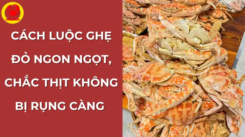 Cách luộc ghẹ đỏ ngon ngọt, chắc thịt không bị rụng càng