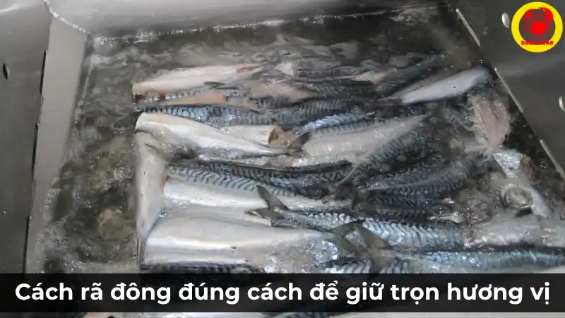 Hình ảnh cá nhái đã được cấp đông, minh họa cho bài viết hướng dẫn cách rã đông cá nhái đúng cách