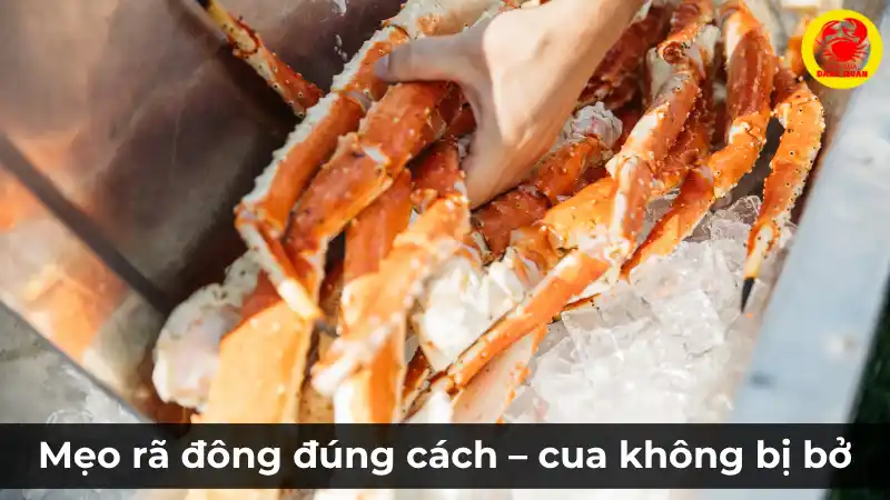 Cách rã đông và chế biến cua đông lạnh đúng cách – Giữ trọn vị ngon, thịt không bị bở