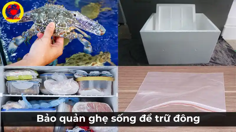 Cách trữ đông ghẹ xanh tươi sống đúng cách
