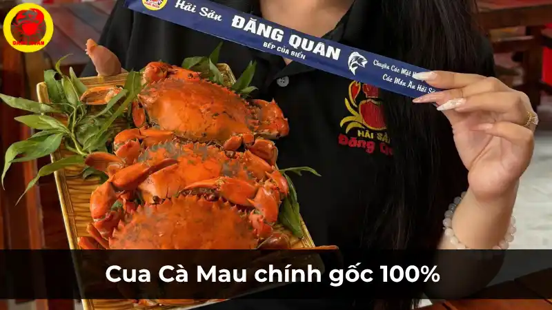 Cam kết cua Cà Mau chính gốc 100% tại Vựa Cua Đăng Quân