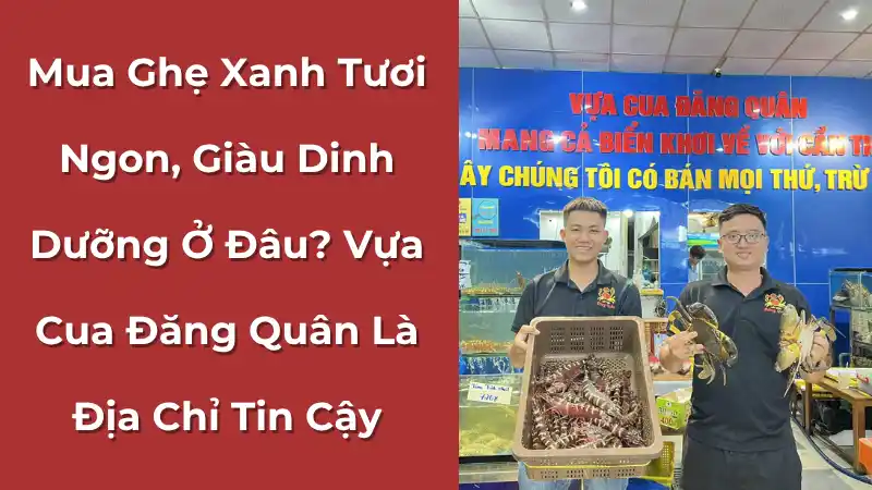 Vựa Cua Đăng Quân, địa chỉ mua ghẹ xanh uy tín tại Cần Thơ, với cam kết về chất lượng và dịch vụ khách hàng tận tâm