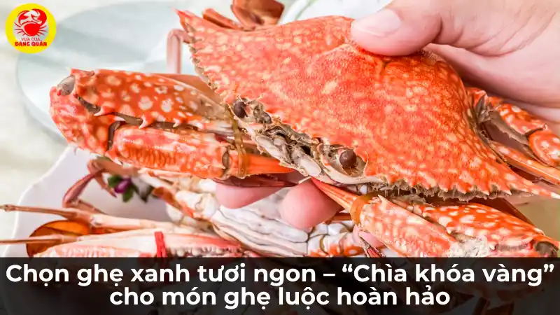 Mẹo chọn ghẹ xanh chắc thịt bằng cách dùng ngón tay ấn vào yếm ghẹ để kiểm tra độ cứng và đầy đặn.