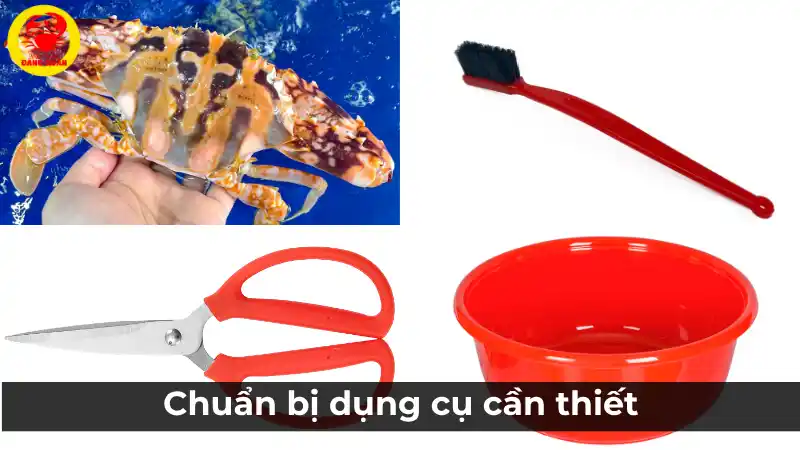 Chuẩn bị dụng cụ cần thiết để sơ chế ghẹ đỏ