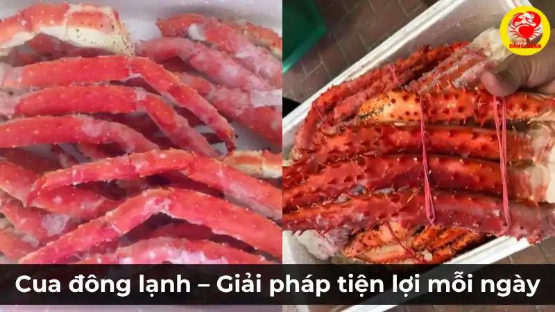 So sánh cua sống và cua đông lạnh – Cua sống tươi rói hay cua đông lạnh tiện lợi hơn?