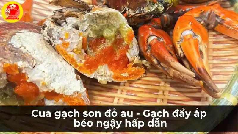 Cua gạch son Cà Mau béo ngậy, gạch đầy hấp dẫn tại Vựa Cua Đăng Quân