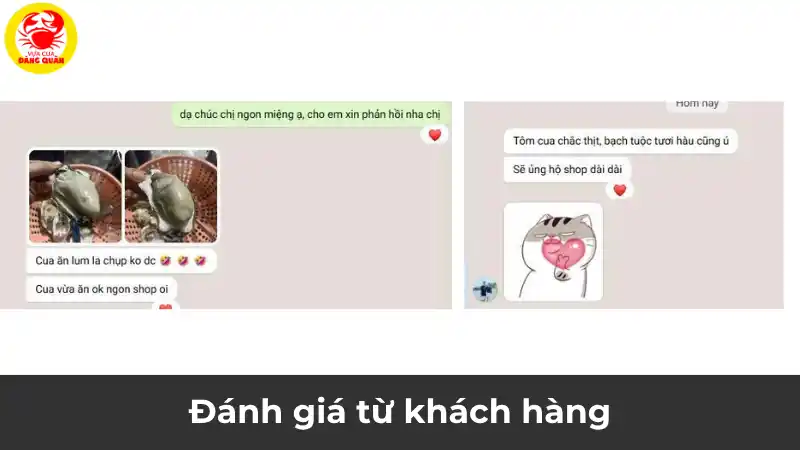 Đánh giá thật từ khách hàng đã đặt cua tại Vựa Cua Đăng Quân