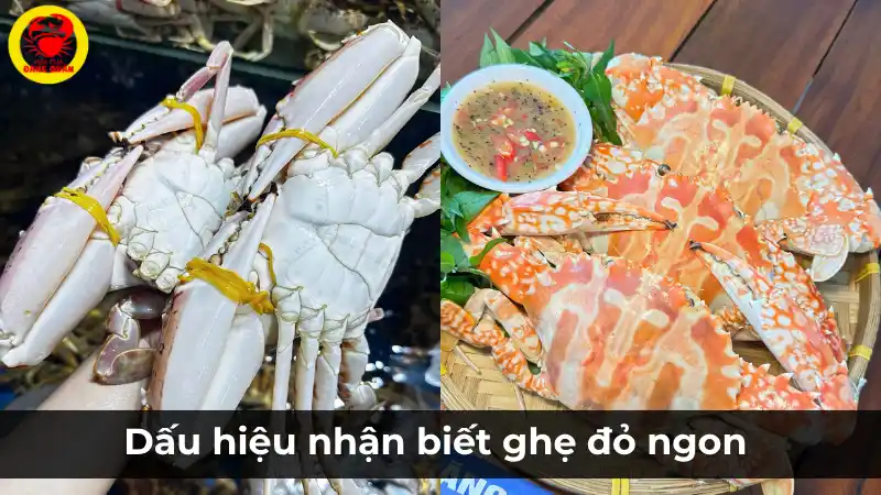 Dấu hiệu nhận biết ghẹ đỏ ngon nên mua
