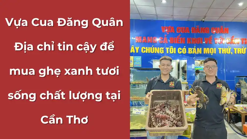 Vựa Cua Đăng Quân - địa chỉ uy tín để mua ghẹ xanh tươi sống chất lượng cao tại Cần Thơ.
