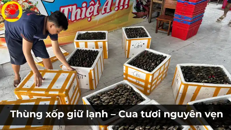Đóng gói cua tươi sống an toàn khi giao hàng tại Vựa Cua Đăng Quân