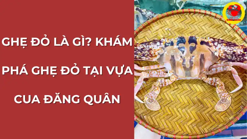 Ghẹ đỏ là gì? Khám phá hương vị đặc trưng.