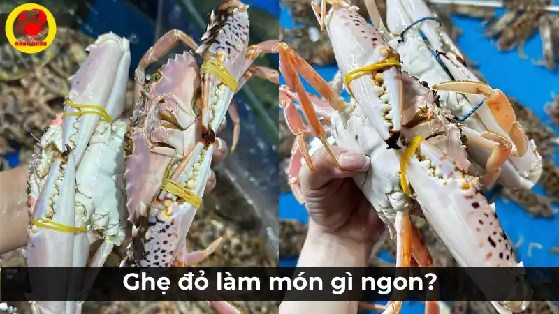 Ghẹ đỏ làm món gì ngon? Khám phá các công thức hấp dẫn.