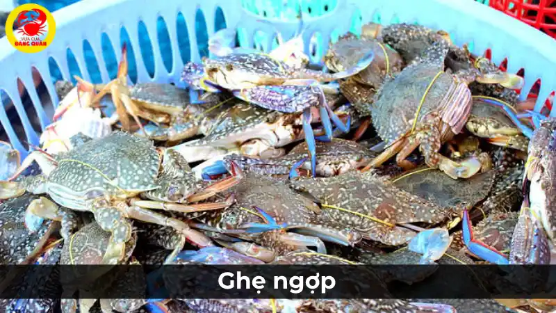 Hình ảnh nhận biết ghẹ ngộp (ghẹ yếu, chết), với các dấu hiệu như càng chân duỗi thẳng, màu sắc xỉn và không còn linh hoạt.