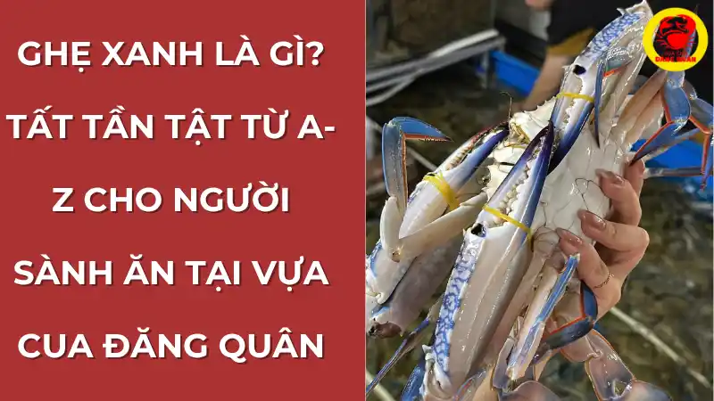 Một chùm ghẹ xanh tươi sống được tuyển chọn kỹ lưỡng tại Vựa Cua Đăng Quân ở Cần Thơ.