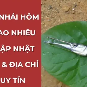 Nội dung bạn nên điền: