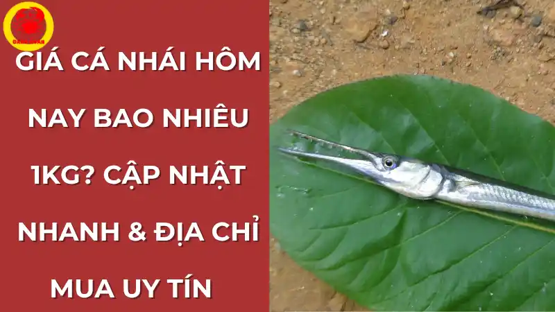 Nội dung bạn nên điền: