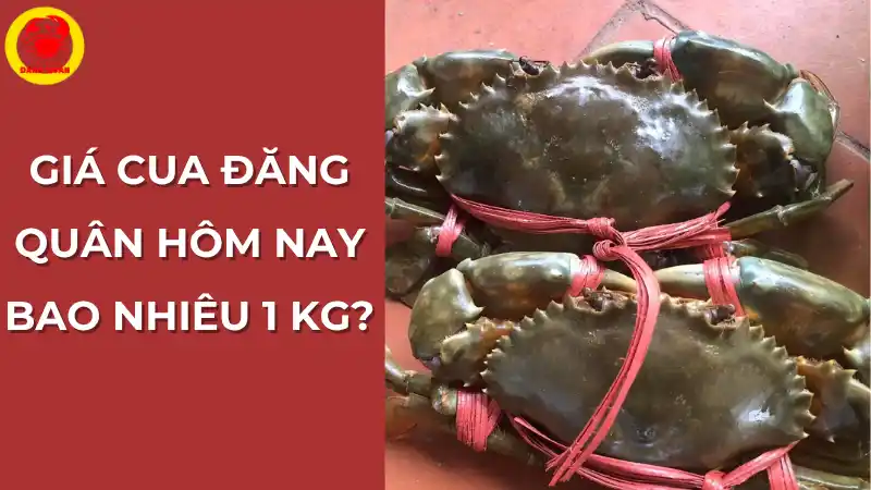 Giá cua Đăng Quân hôm nay bao nhiêu 1 kg? Cập nhật bảng giá cua Cà Mau mới nhất
