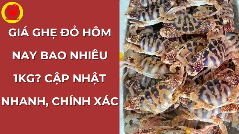 Giá ghẹ đỏ hôm nay: Cập nhật nhanh, chính xác tại Vựa Cua Đăng Quân