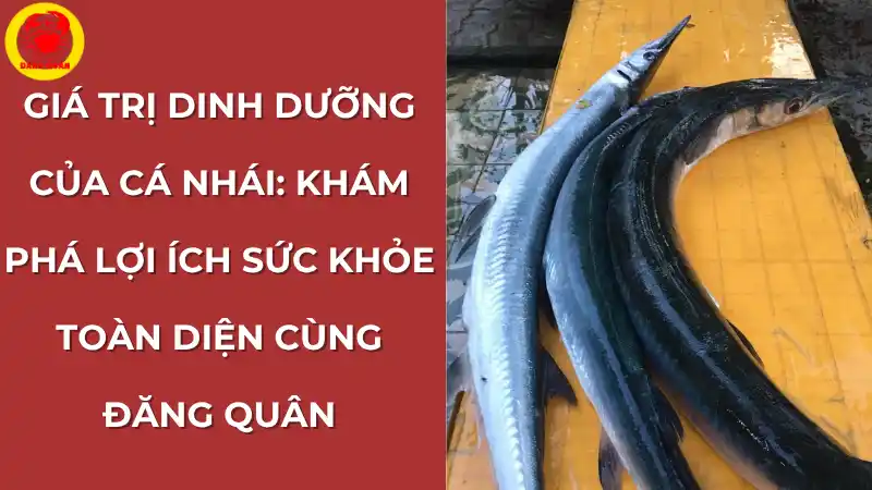 Giá trị dinh dưỡng của cá nhái tươi và những lợi ích sức khỏe toàn diện cho gia đình