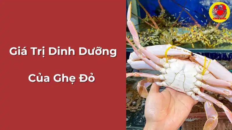 Giá trị dinh dưỡng của ghẹ đỏ
