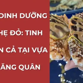 Giá trị dinh dưỡng của ghẹ đỏ từ Vựa Cua Đăng Quân