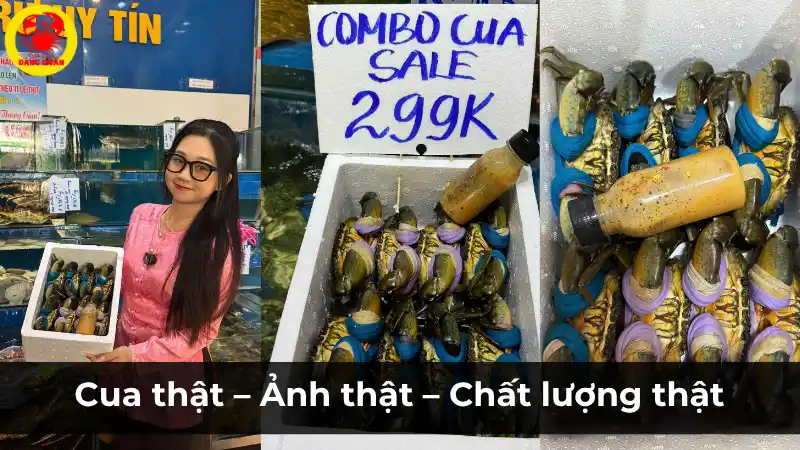 Hình ảnh thực tế cua sống tại Vựa Cua Đăng Quân – Cam kết chất lượng thật, giá thật