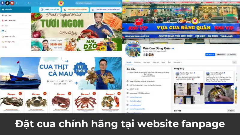 Kênh mua cua chính thức của Vựa Cua Đăng Quân – Website, Fanpage, Zalo, Hotline
