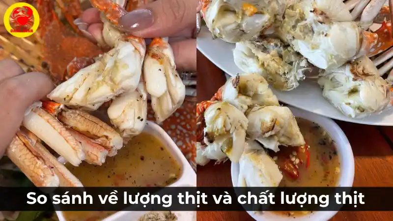 So sánh lượng thịt và chất lượng thịt của các size ghẹ xanh khác nhau, từ ghẹ nhỏ ít thịt đến ghẹ lớn nhiều thịt.