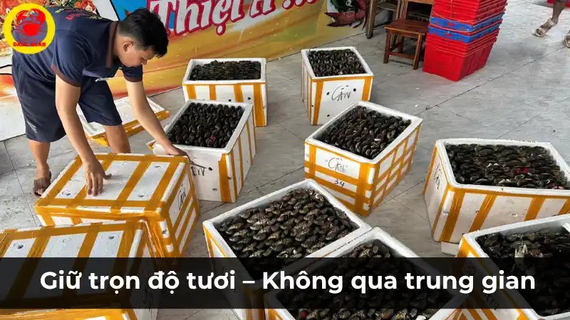Lý do Vựa Cua Đăng Quân không bán cua trên sàn thương mại điện tử như Shopee, Lazada