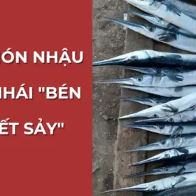 Khô cá nhái một nắng, một trong những món nhậu từ cá nhái ngon nhất