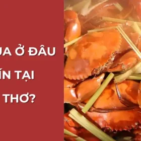 Mua cua ở đâu uy tín tại Cần Thơ? Vựa Cua Đăng Quân là lựa chọn hàng đầu