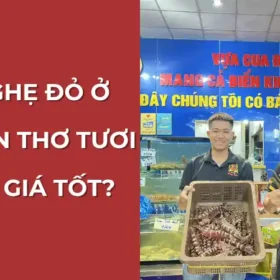 Mua ghẹ đỏ tươi ngon, giá tốt ở đâu tại Cần Thơ? Vựa Cua Đăng Quân.
