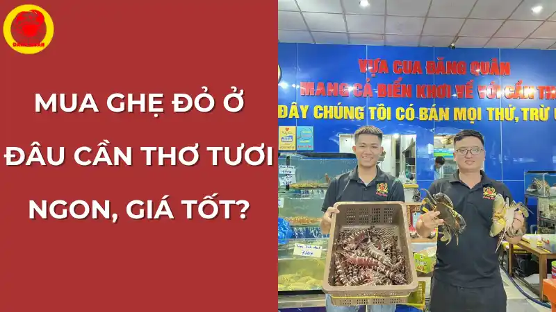 Mua ghẹ đỏ tươi ngon, giá tốt ở đâu tại Cần Thơ? Vựa Cua Đăng Quân.