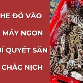 Mua ghẹ đỏ vào tháng mấy ngon nhất? Bí quyết săn ghẹ đỏ chắc nịch.