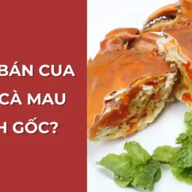 Ở đâu bán cua gạch Cà Mau chính gốc – Vựa Cua Đăng Quân