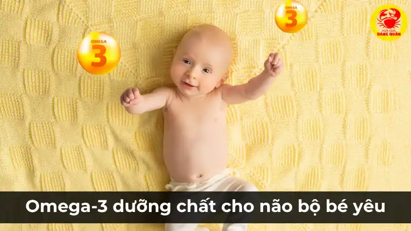 Omega-3: Dưỡng chất quan trọng cho não bộ bé yêu