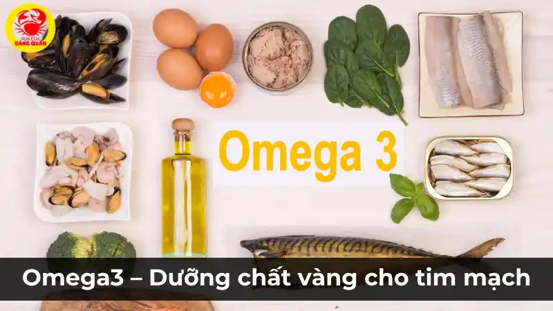 Omega-3: Dưỡng chất vàng cho tim mạch và trí não