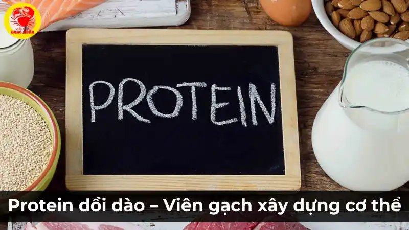 Protein dồi dào - Viên gạch xây dựng cơ thể